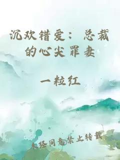 沉欢错爱：总裁的心尖罪妻
